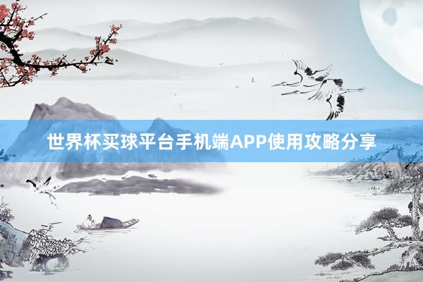 世界杯买球平台手机端APP使用攻略分享
